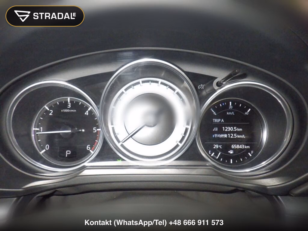 MAZDA CX-8 4WD XD PROACTIVE, miniaturka 7