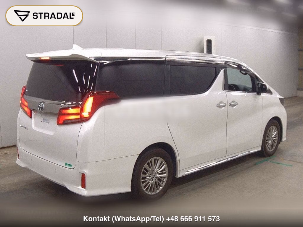 TOYOTA ALPHARD 2.5S TYPE GOLD, miniaturka 6