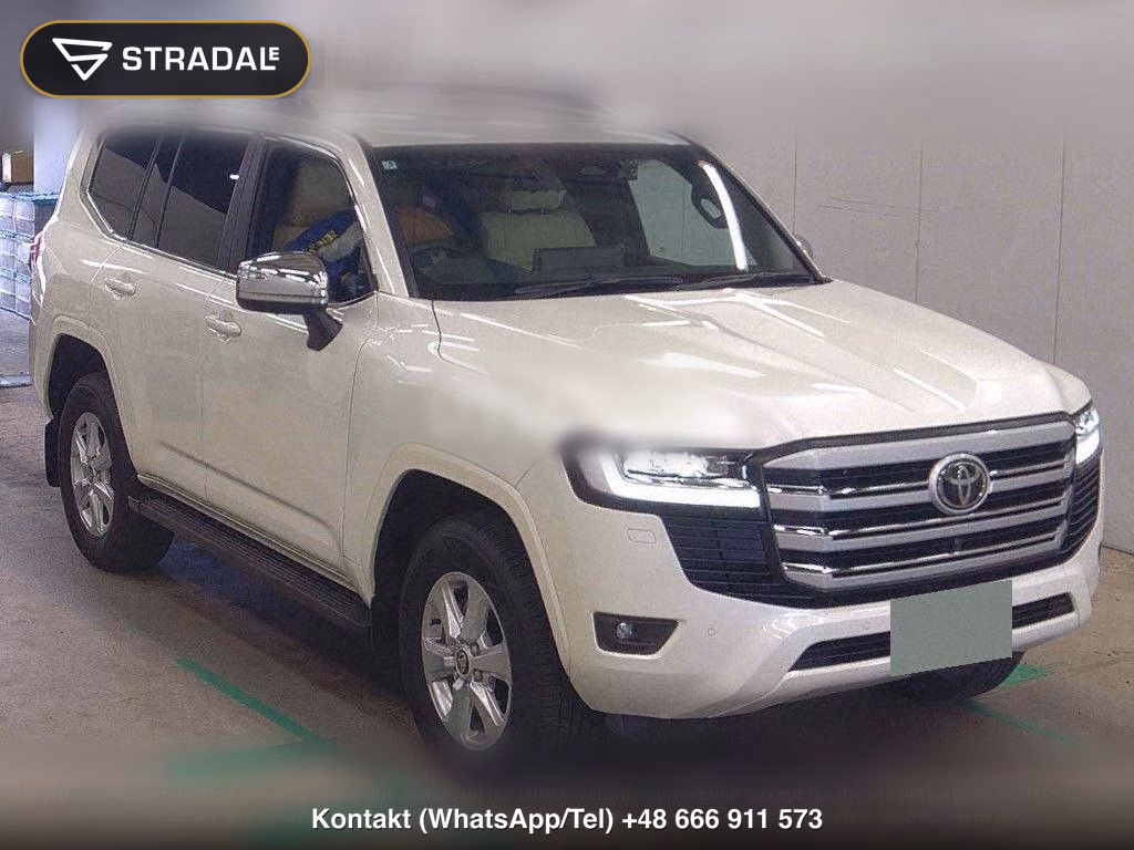 TOYOTA LAND CRUISER 4WD AX, miniaturka 2