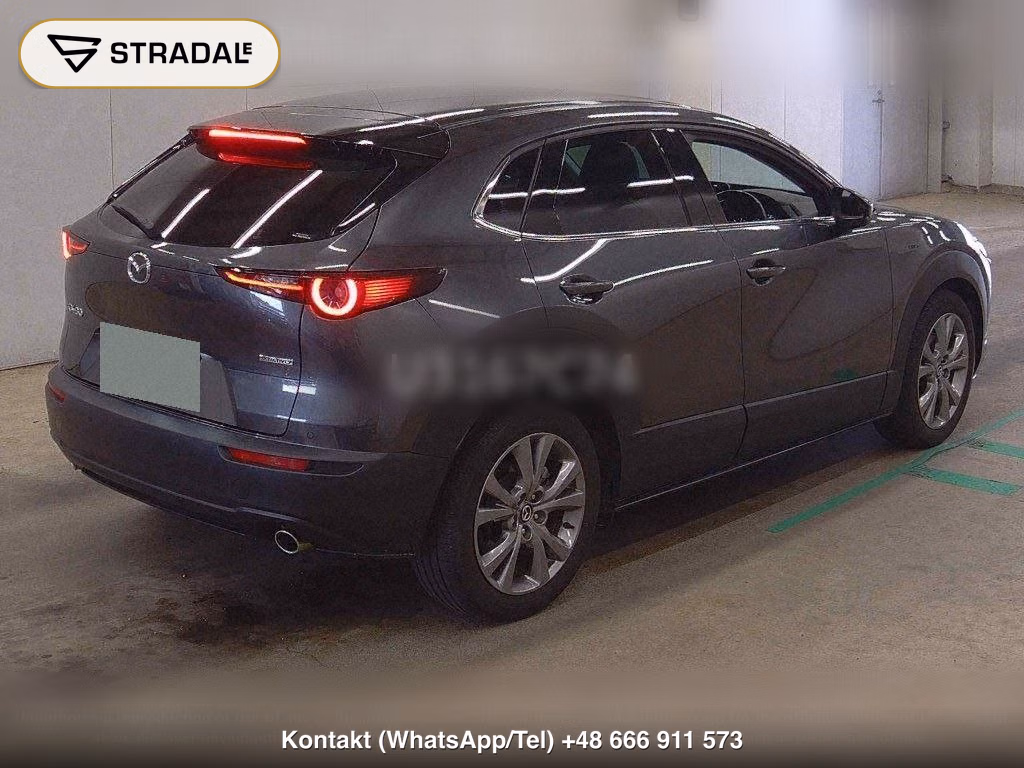 MAZDA CX-30 XD PROACTIVE TOURING SELECTION, miniaturka 6