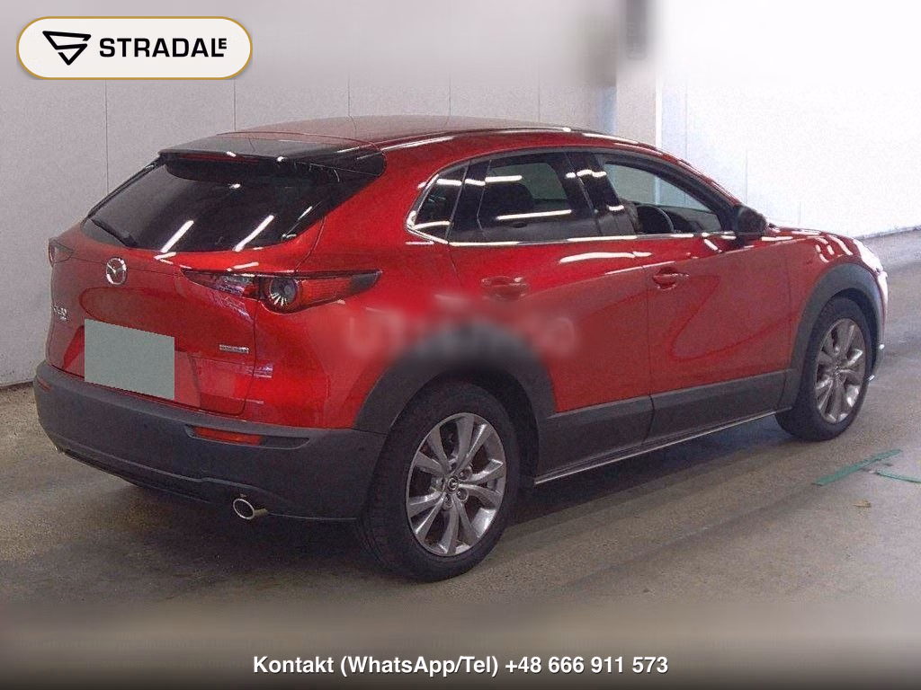 MAZDA CX-30 4WD XD L PACKAGE, miniaturka 6