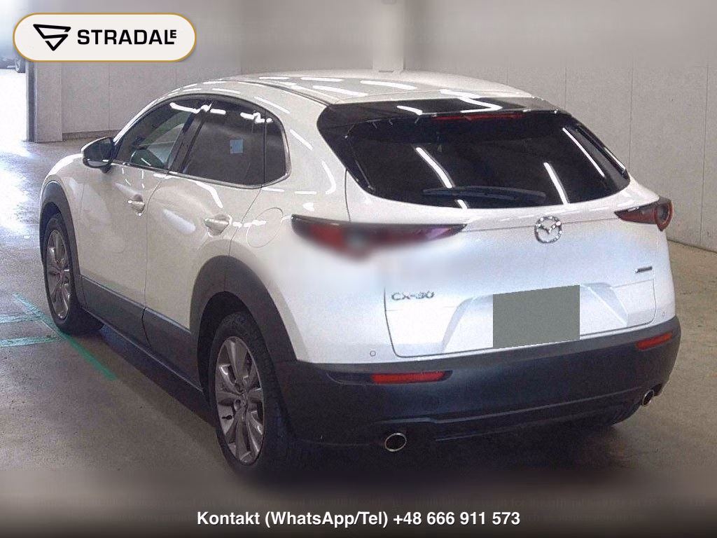 MAZDA CX-30 20S PROACTIVE TOURING SELECTION, miniaturka 3