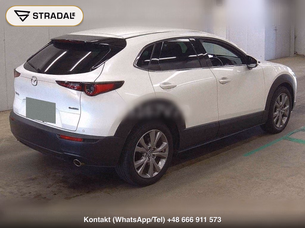 MAZDA CX-30 20S PROACTIVE TOURING SELECTION, miniaturka 6