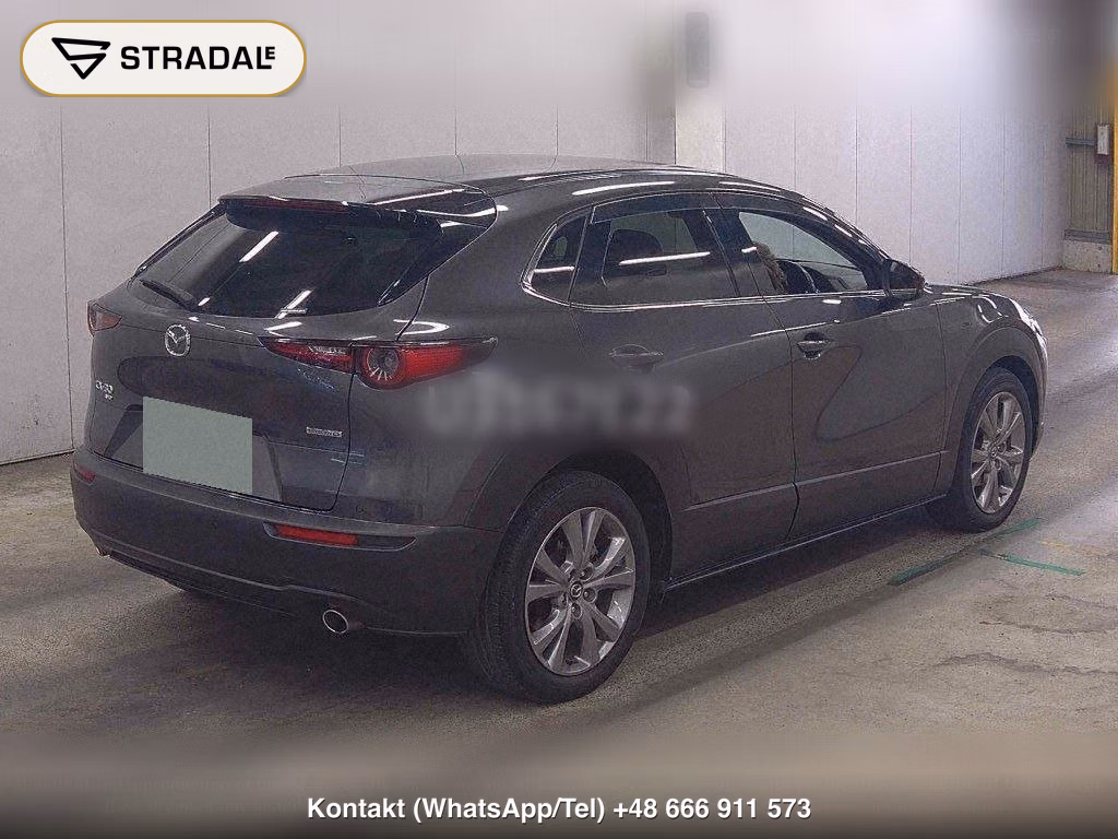 MAZDA CX-30 4WD XD L PACKAGE, miniaturka 6