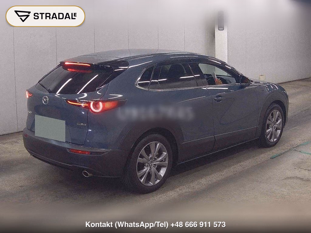 MAZDA CX-30 XD PROACTIVE TOURING SELECTION, miniaturka 6