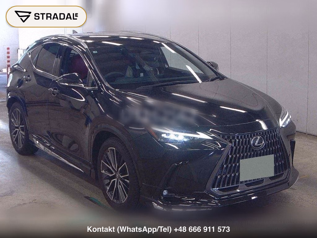 LEXUS NX NX250 VERSION L, miniaturka 2