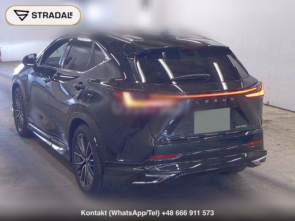 LEXUS NX NX250 VERSION L, miniaturka 3