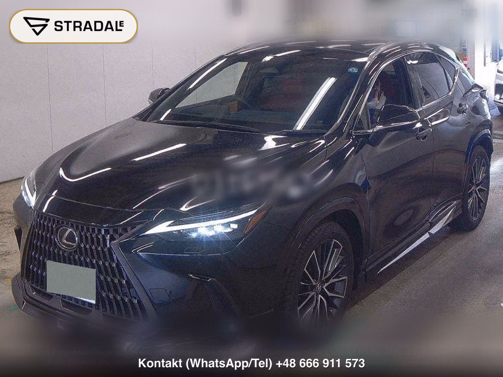 LEXUS NX NX250 VERSION L, miniaturka 5