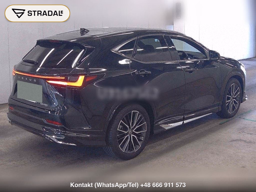 LEXUS NX NX250 VERSION L, miniaturka 6