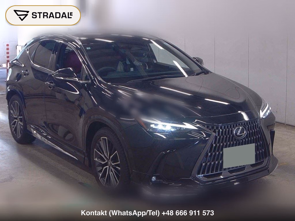 LEXUS NX NX250 VERSION L 2025, aukcja z Japonii, zdjęcie 1
