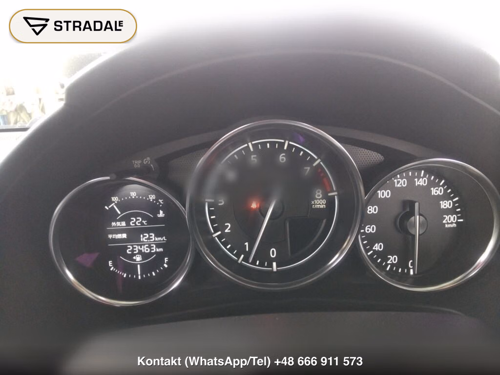 MAZDA ROADSTER 990S, miniaturka 7