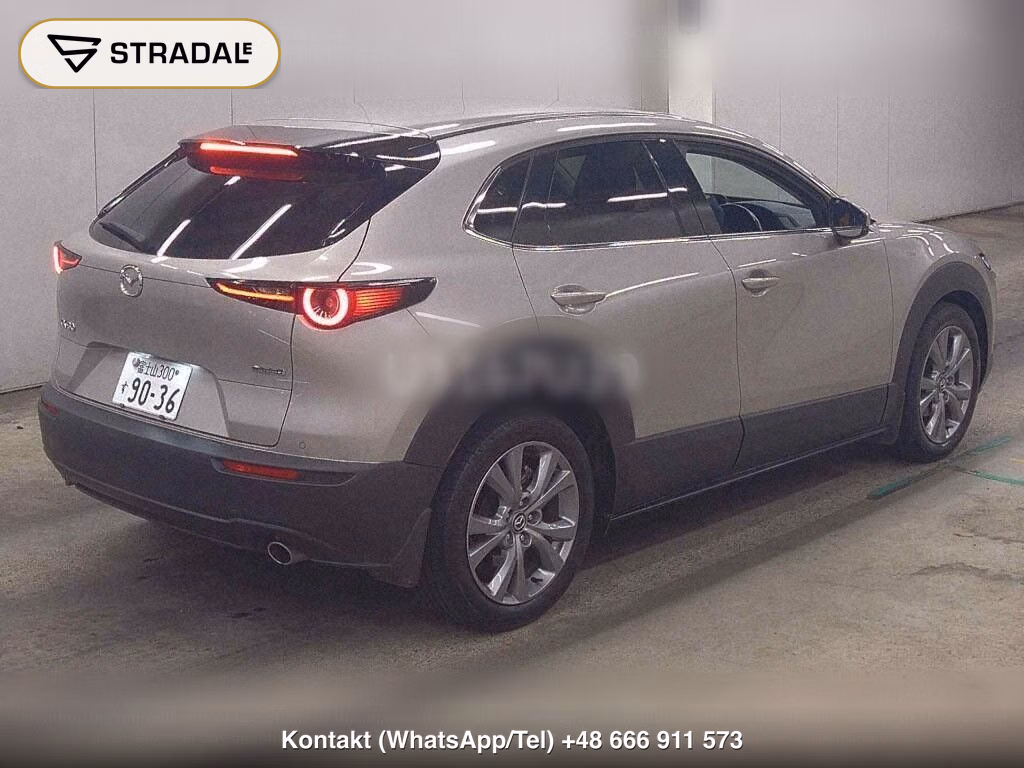 MAZDA CX-30 XD PROACTIVE TOURING SELECTION, miniaturka 6