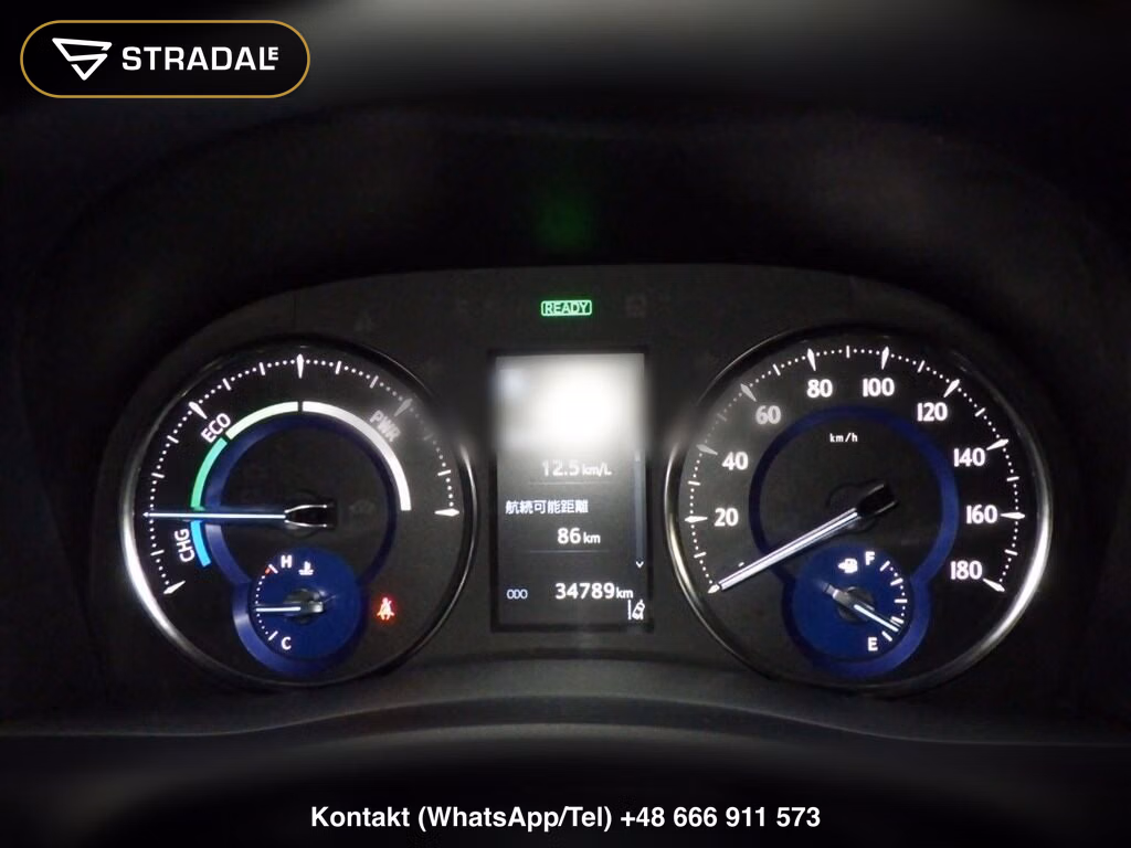 TOYOTA ALPHARD HYBRID 4WD S TYPE GOLD, miniaturka 7