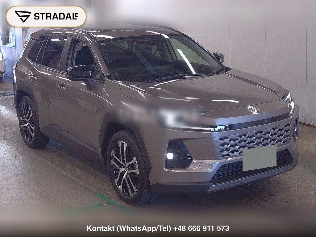 TOYOTA RAV4 5D 4WD Z, miniaturka 2