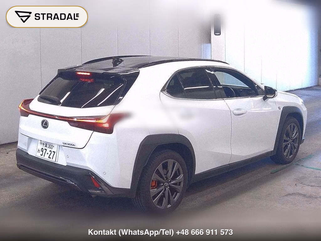 LEXUS UX UX300H F SPORT, miniaturka 6