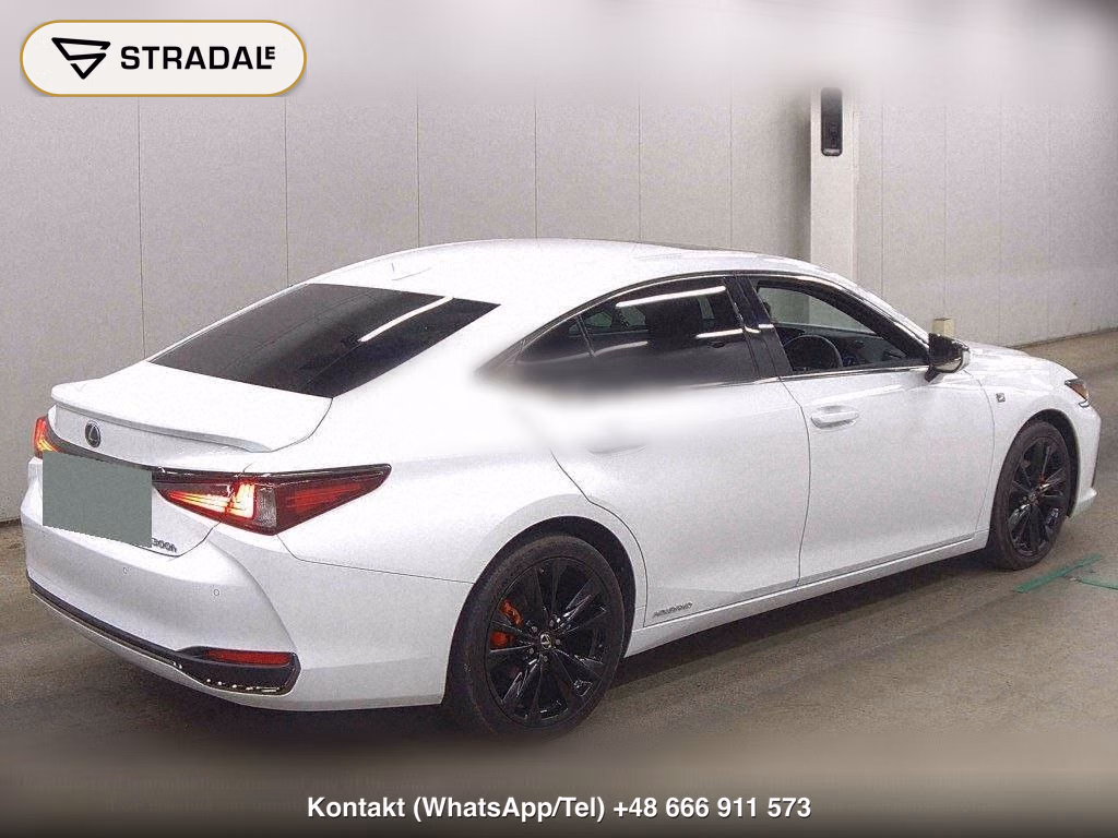 LEXUS ES ES300H F SPORT, miniaturka 6