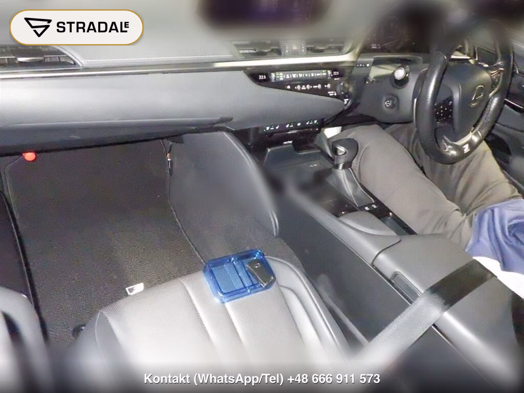 LEXUS ES ES300H F SPORT, miniaturka 4