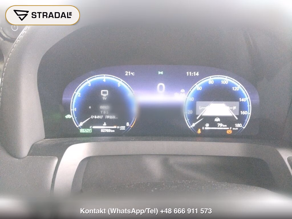 TOYOTA ALPHARD HYBRID 4WD Z, miniaturka 7