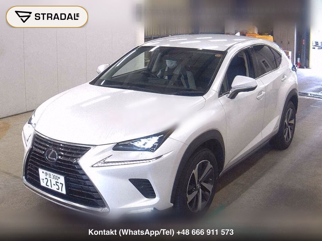 LEXUS NX NX300H I PACKAGE, miniaturka 5