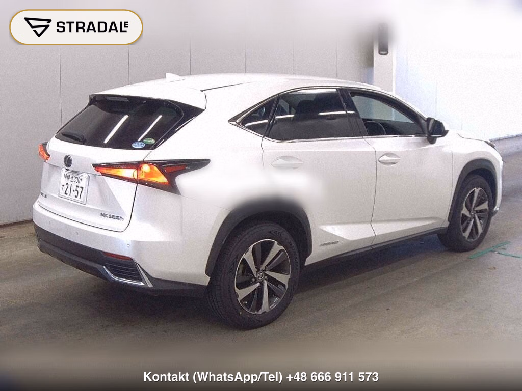 LEXUS NX NX300H I PACKAGE, miniaturka 6
