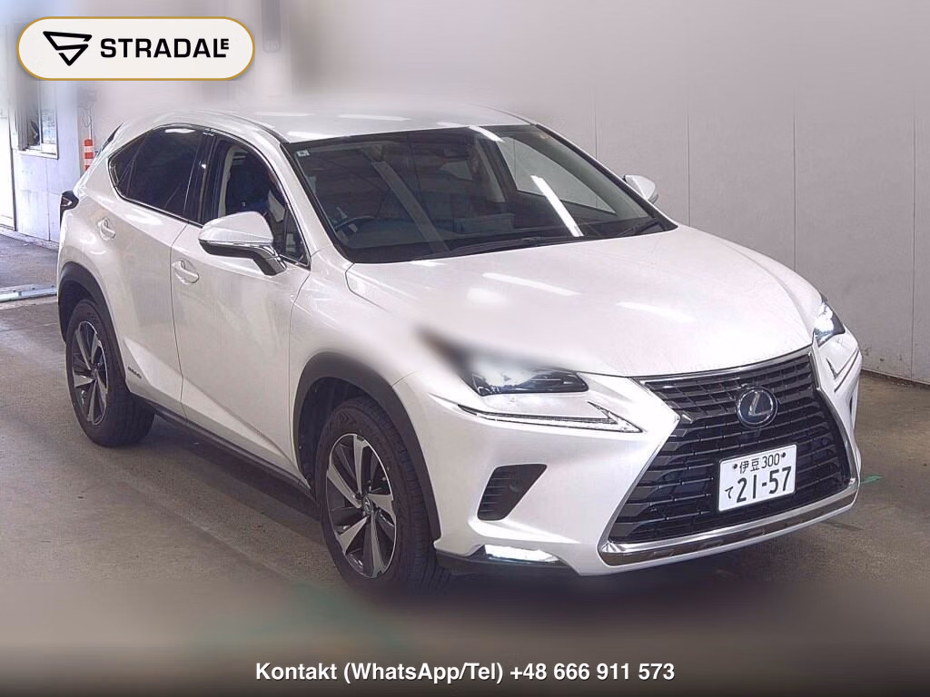 LEXUS NX NX300H I PACKAGE 2020, aukcja z Japonii, zdjęcie 1