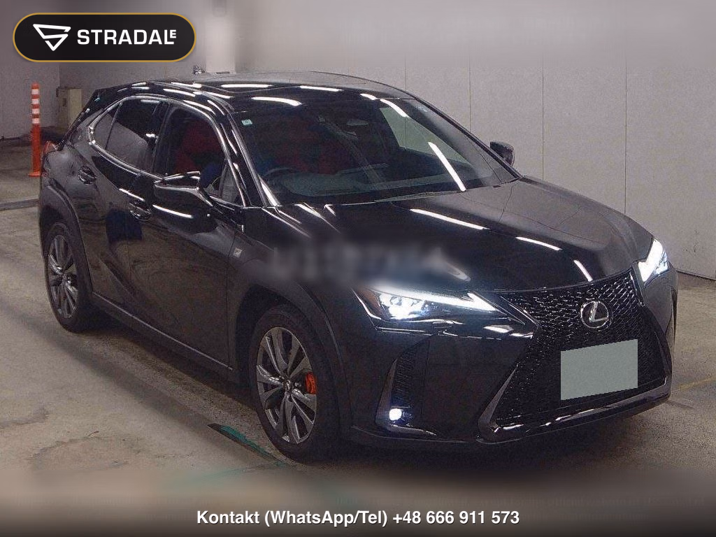 LEXUS UX 4WD UX300H F SPORT, miniaturka 2