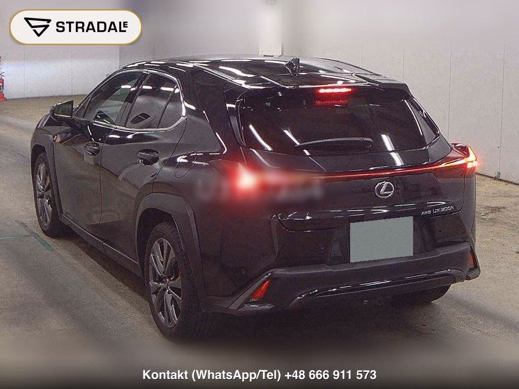 LEXUS UX 4WD UX300H F SPORT, miniaturka 3