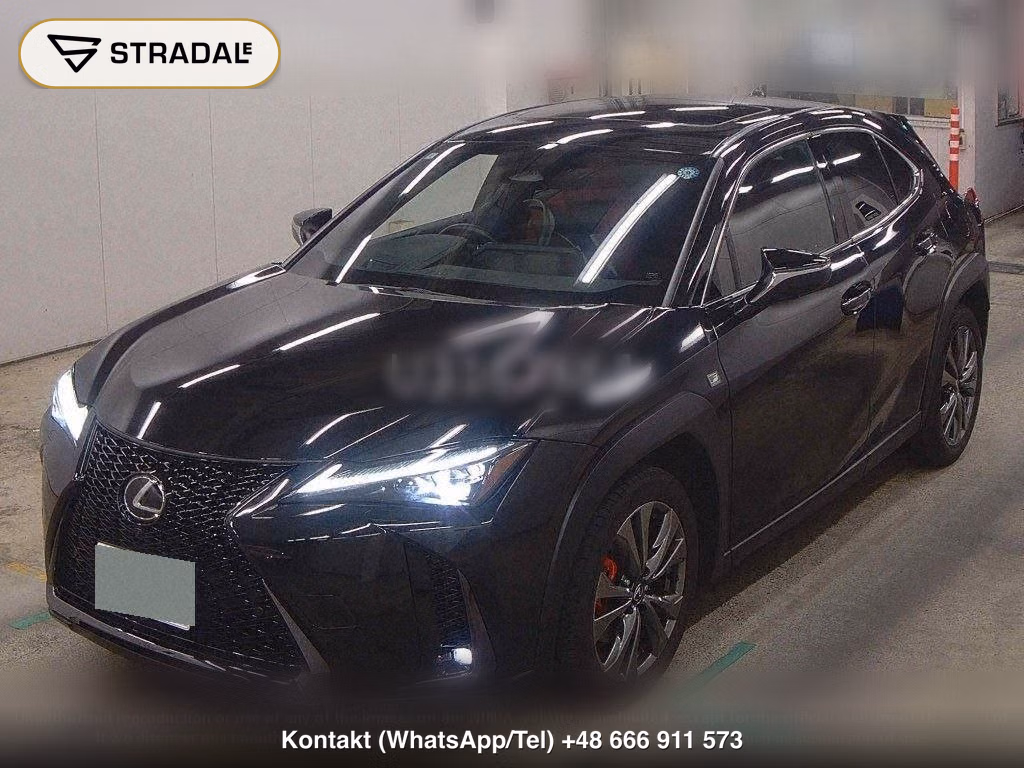 LEXUS UX 4WD UX300H F SPORT, miniaturka 5
