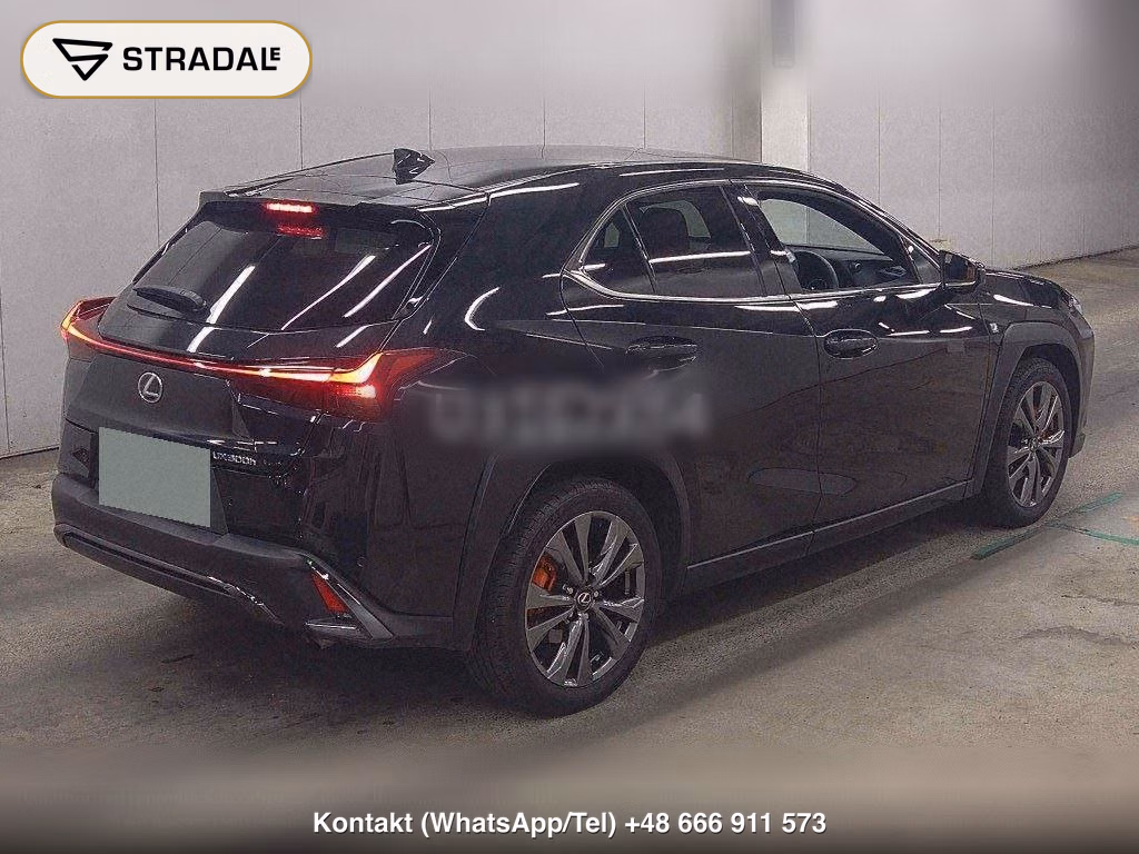 LEXUS UX 4WD UX300H F SPORT, miniaturka 6