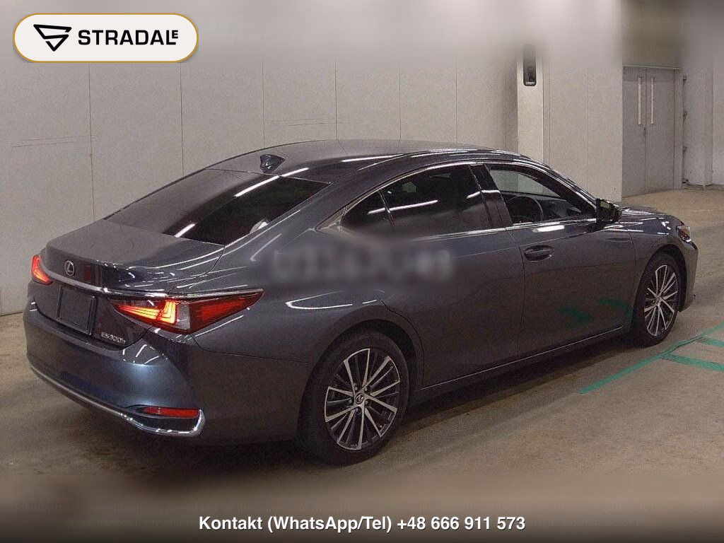 LEXUS ES ES300H, miniaturka 6