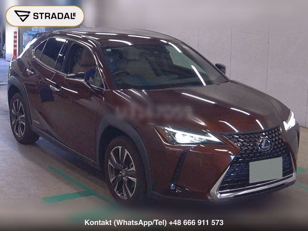 LEXUS UX UX250H, miniaturka 2