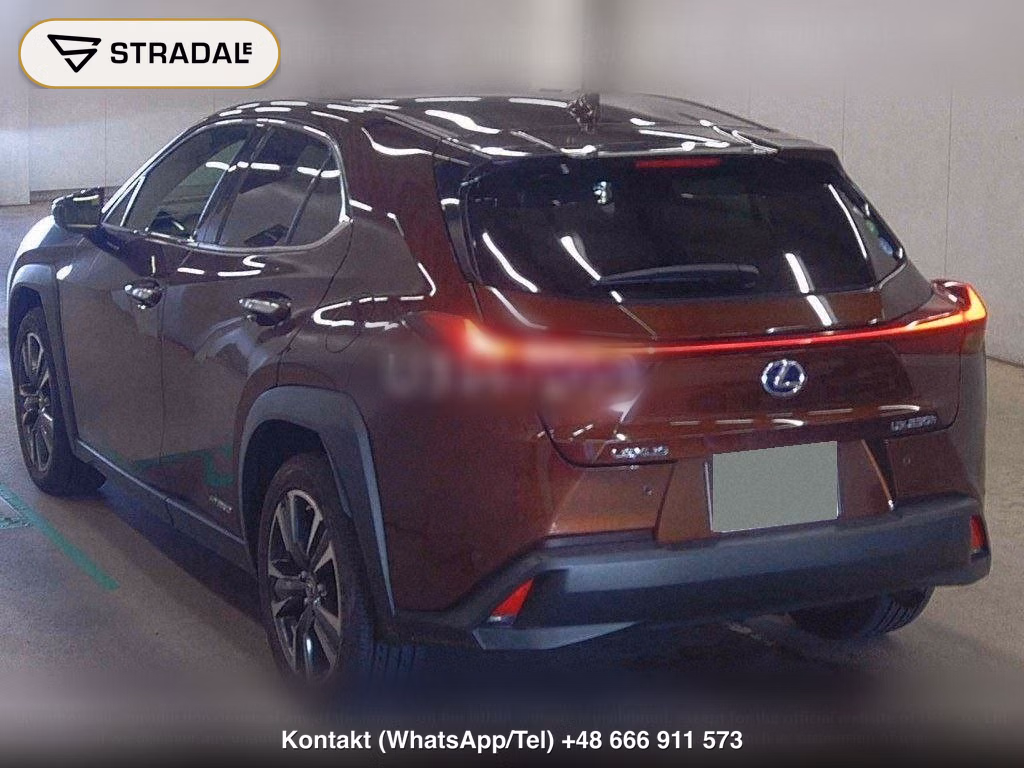 LEXUS UX UX250H, miniaturka 3
