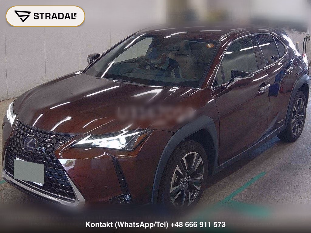 LEXUS UX UX250H, miniaturka 5