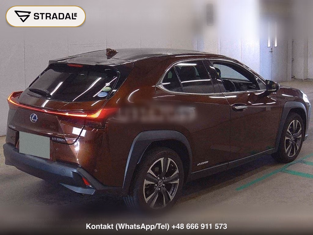 LEXUS UX UX250H, miniaturka 6