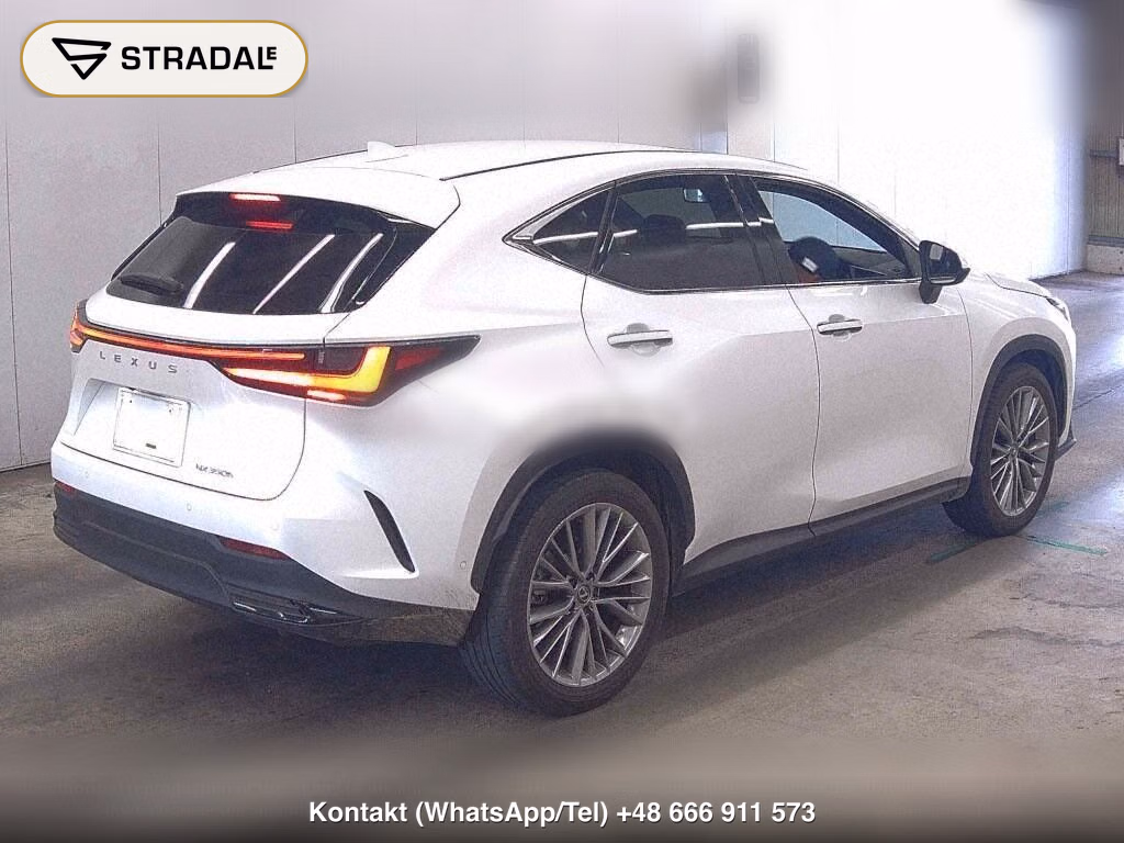 LEXUS NX NX350H VERSION L, miniaturka 6