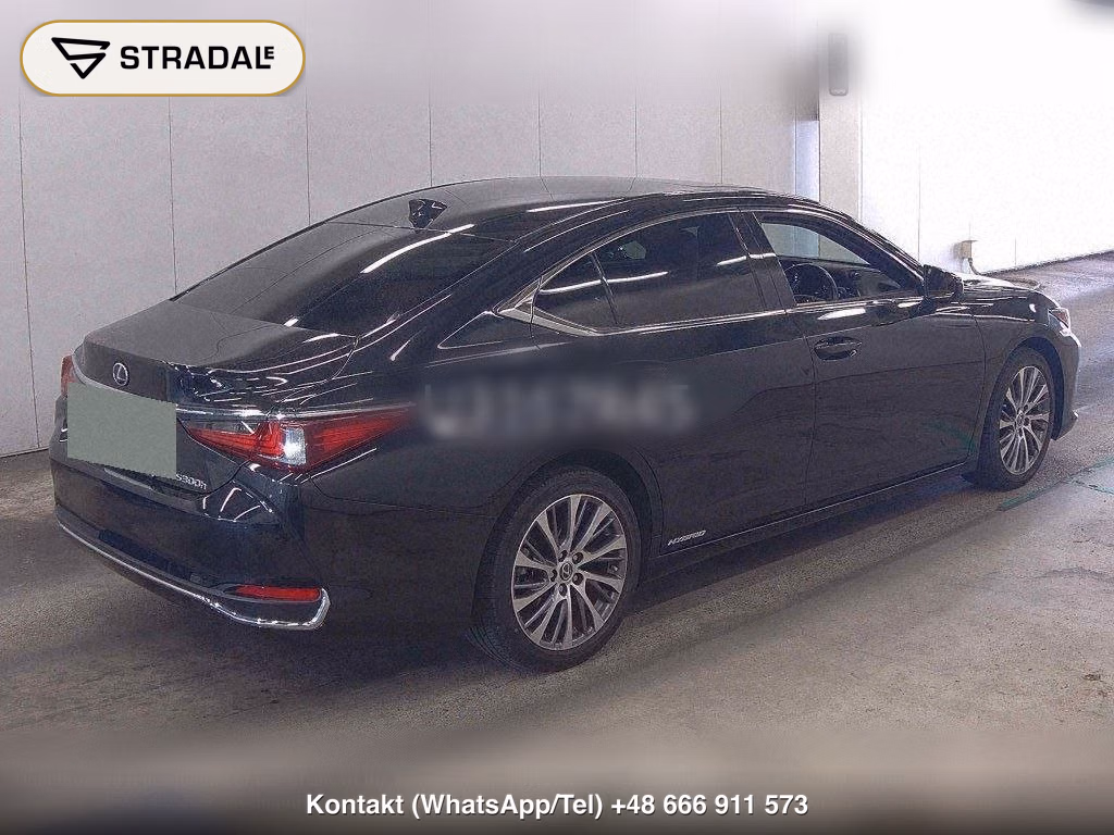 LEXUS ES ES300H, miniaturka 6