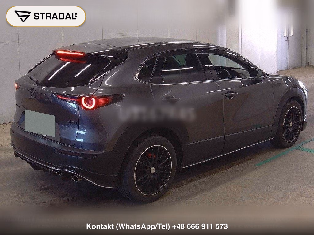 MAZDA CX-30 20S PROACTIVE TOURING SELECTION, miniaturka 6