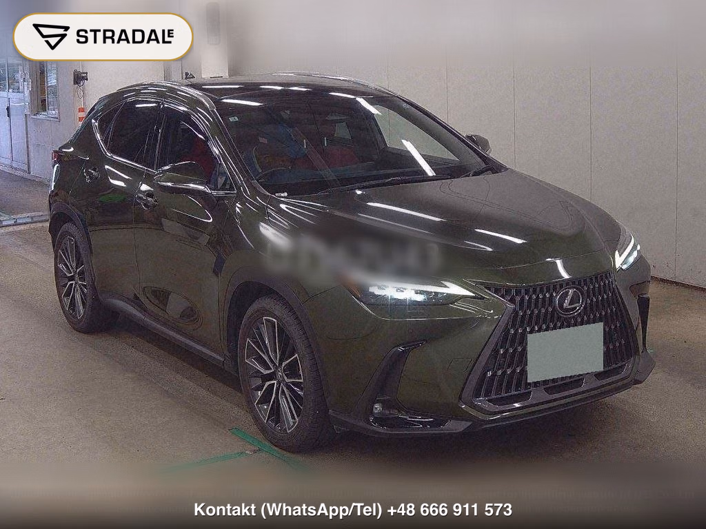 LEXUS NX 4WD NX350H VERSION L, miniaturka 2