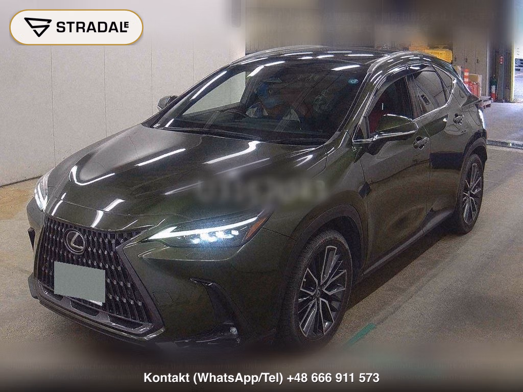 LEXUS NX 4WD NX350H VERSION L, miniaturka 5