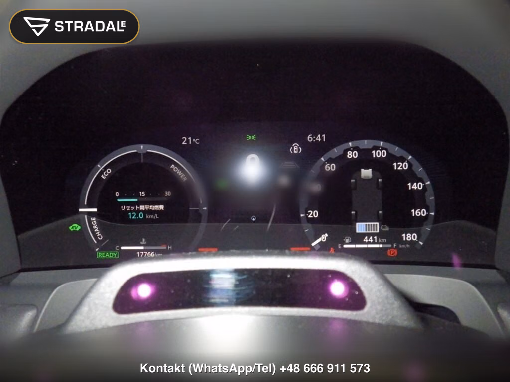 TOYOTA ALPHARD HYBRID 4WD EXECUTIVE LOUNGE, miniaturka 7