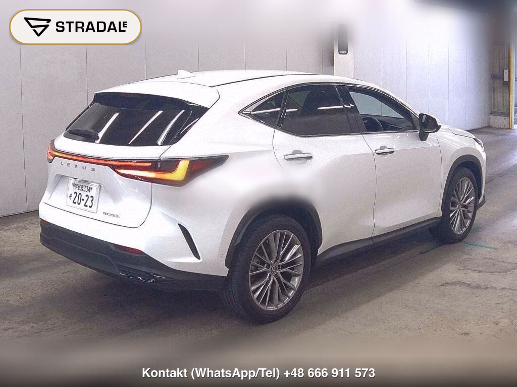 LEXUS NX NX350H VERSION L, miniaturka 6
