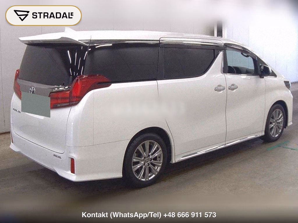TOYOTA ALPHARD 2.5S TYPE GOLD, miniaturka 6