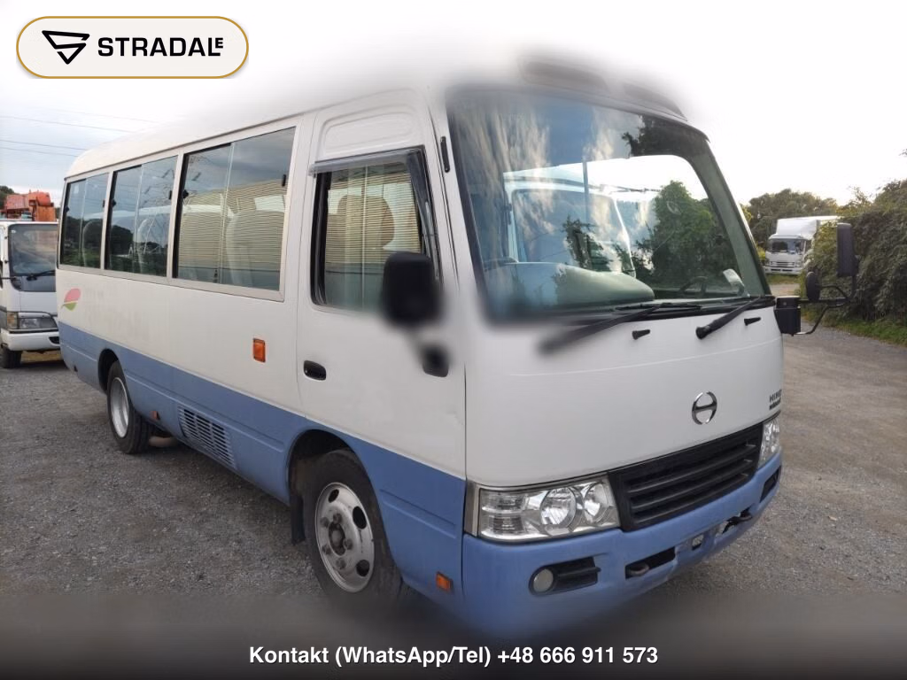 HINO LIESSE Ⅱ 2D 2016, aukcja z Japonii, zdjęcie 1