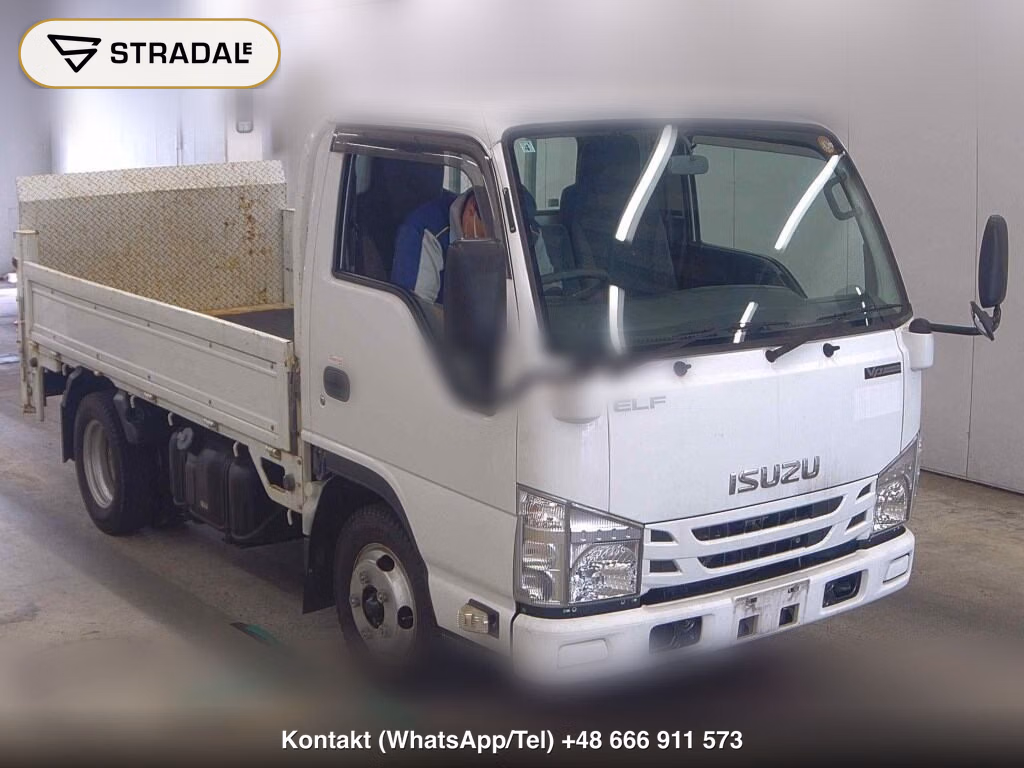 ISUZU ELF TRUCK 2D OTHERS 2019, aukcja z Japonii, zdjęcie 1