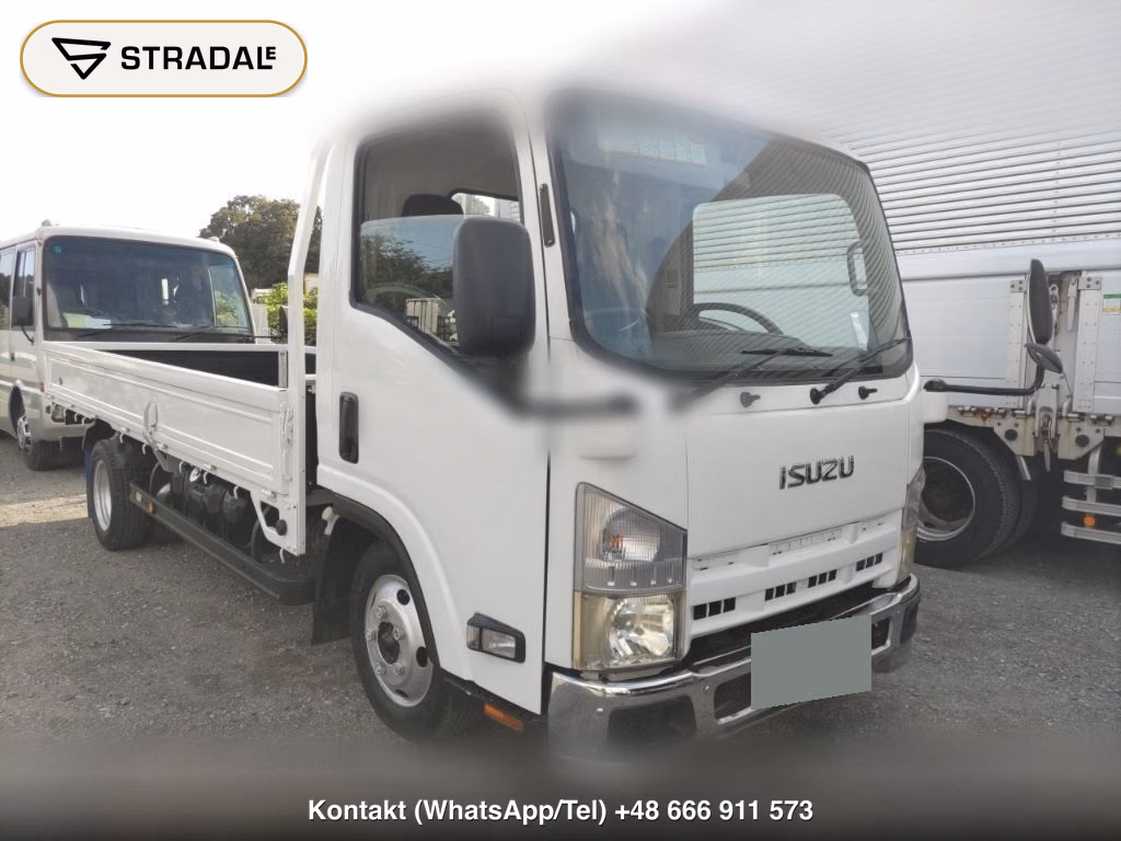 ISUZU ELF TRUCK 2D LONG 2008, aukcja z Japonii, zdjęcie 1