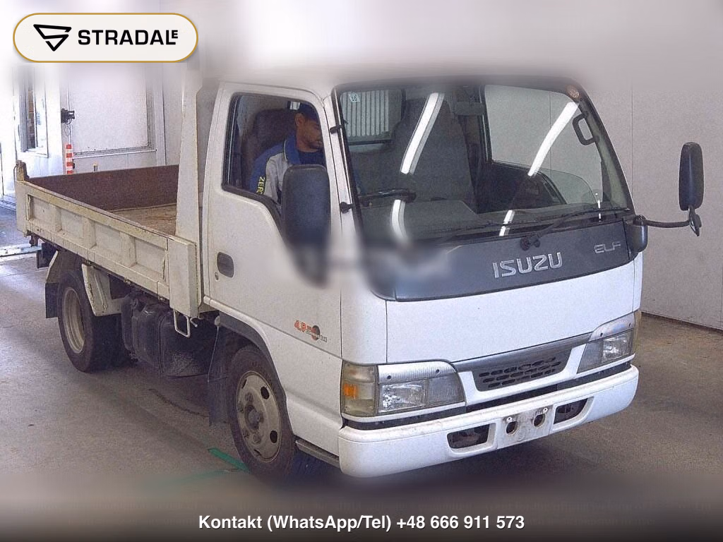 ISUZU ELF TRUCK 2D DUMP, miniaturka 2