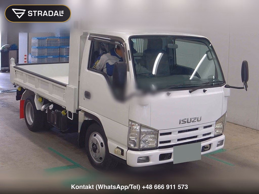 ISUZU ELF TRUCK 2D OTHERS 2013, aukcja z Japonii, zdjęcie 1