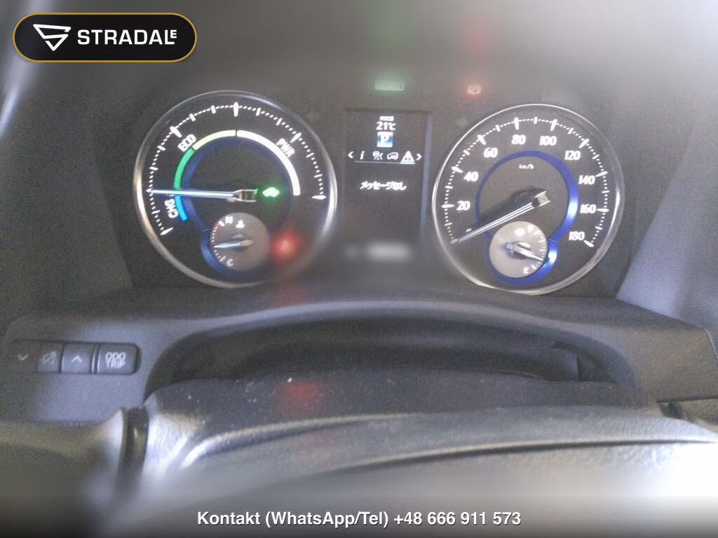 TOYOTA ALPHARD HYBRID 4WD SR, miniaturka 7