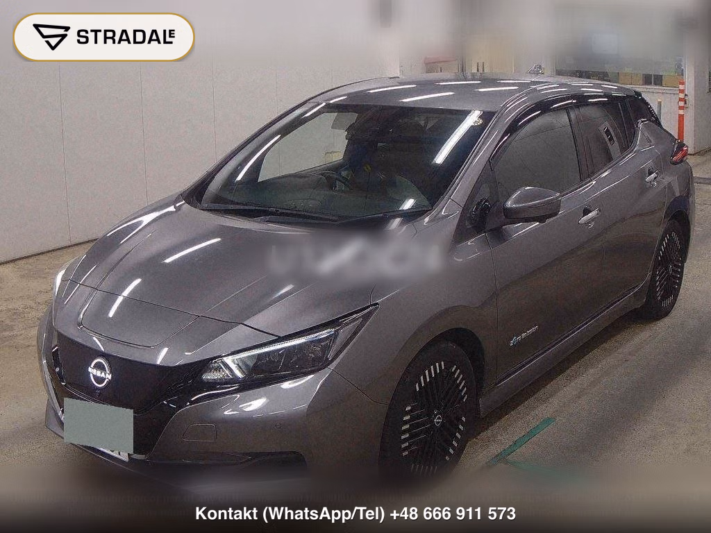 NISSAN LEAF X V SELECTION, miniaturka 5