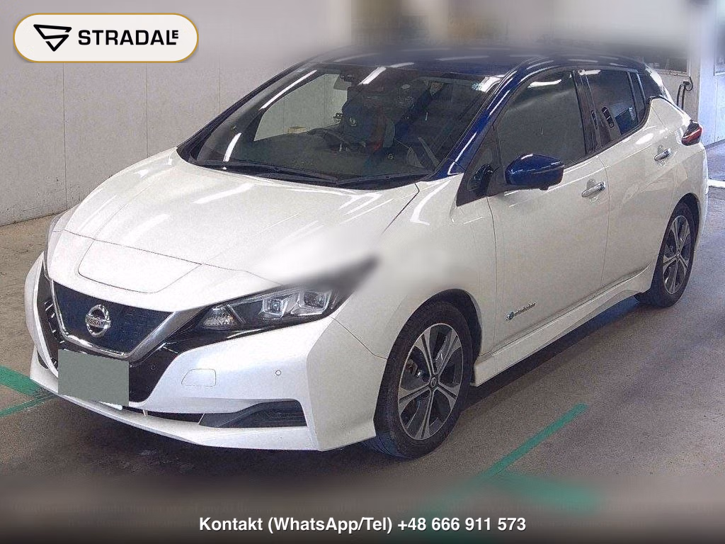 NISSAN LEAF X V SELECTION, miniaturka 5
